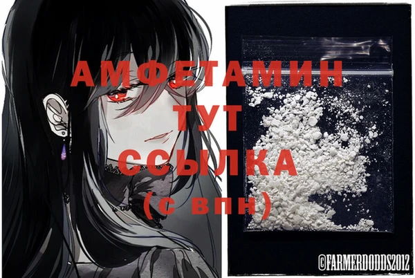 гашик Няндома
