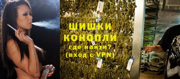 гашик Няндома