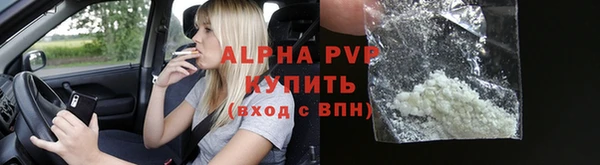 гашик Няндома