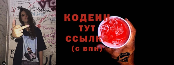 гашик Няндома