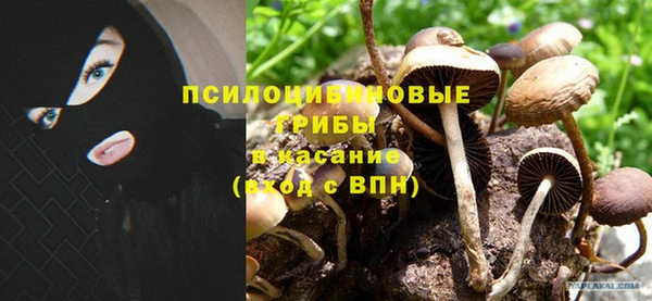 гашик Няндома