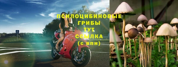 ALPHA-PVP Осташков