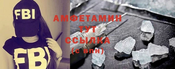гашик Няндома