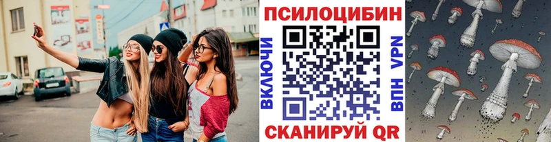 ОМГ ОМГ ССЫЛКА  наркошоп  Поворино  Псилоцибиновые грибы прущие грибы 